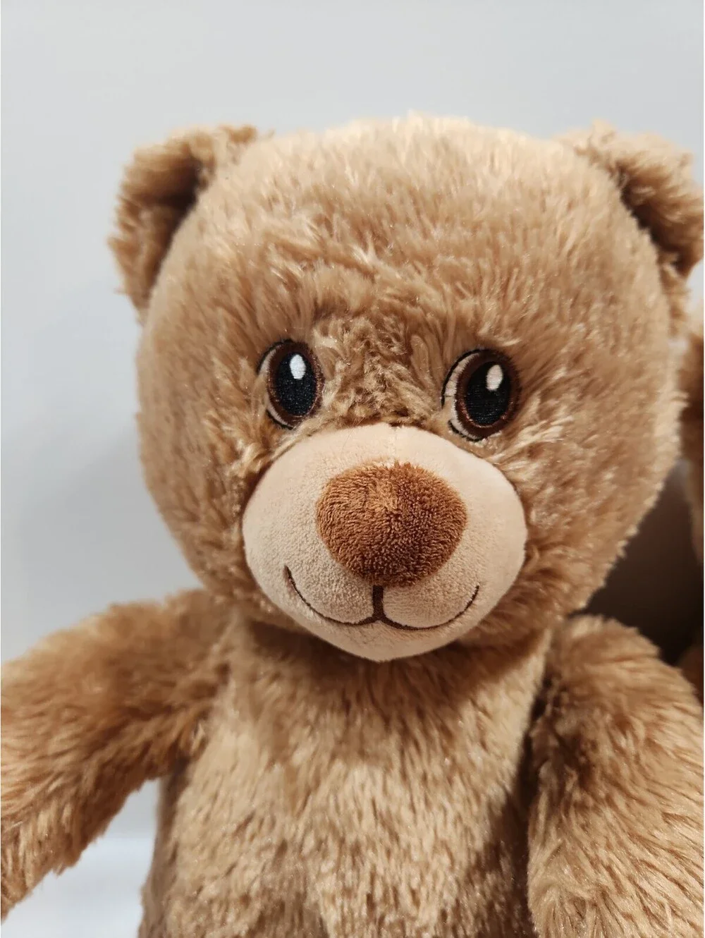 2 Build A Bear Brown Bears, 13